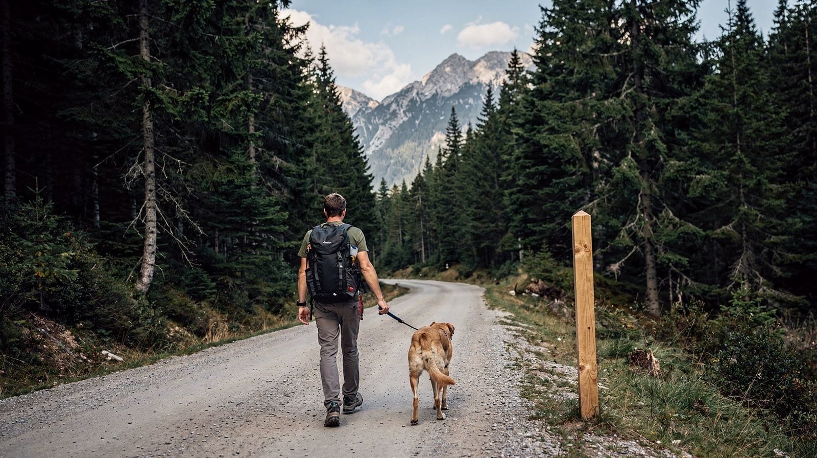 Por Que os Cães São Proibidos no Parque Nacional dos Tatras