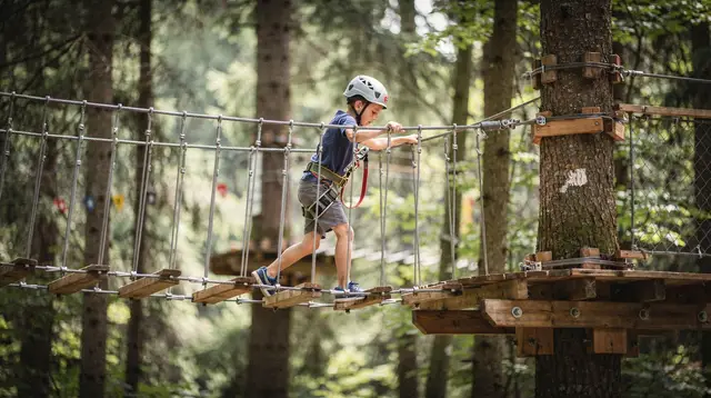 Rope Parks and Treetop Walks Near Zakopane