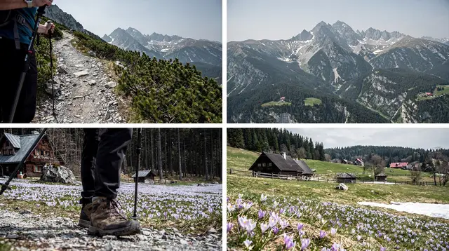 Chochołowska Valley in Crocus Season: What to Expect
